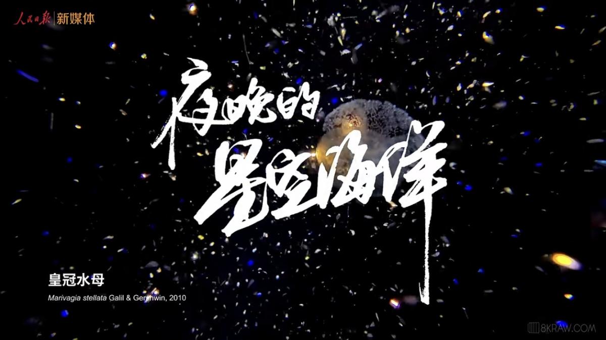 202406091717940905661629.jpg 202406091717940905661629.jpg